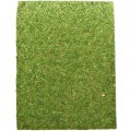Фон моховий Repti-Zoo Natural Moss Back & Bottom 50x25см 2шт. (NCM5025)
