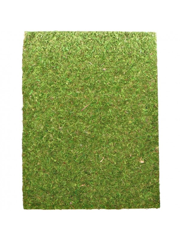 Фон моховий Repti-Zoo Natural Moss Back & Bottom 50x25см 2шт. (NCM5025)