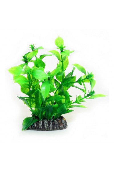 Искусственное растение Hobby Hygrophila 13см (51559)
