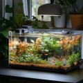 Скляний дифузор 15мм, коліно, зворотний клапан CO2 Kruger Meier NeXus Set CO2
