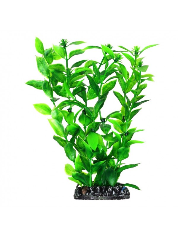 Штучна рослина Hobby Hygrophila 20см (51560)