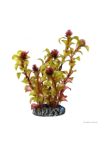 Штучна рослина Hobby Rotala 16см. (41514)