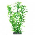 Искусственное растение Hobby Heteranthera 25см (51566)