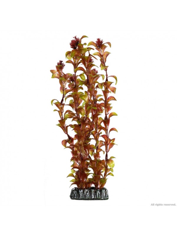 Искусственное растение Hobby Rotala 30см. (41518)
