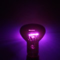 Ночная лампа с подогревом Repti-Zoo Moonlight Heat 35W (D63035)