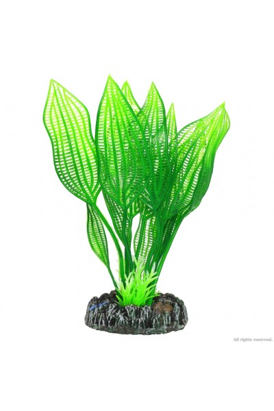 Искусственное растение Hobby Aponogeton 16см (51577)
