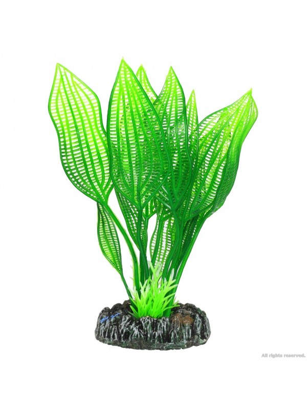 Искусственное растение Hobby Aponogeton 16см (51577)