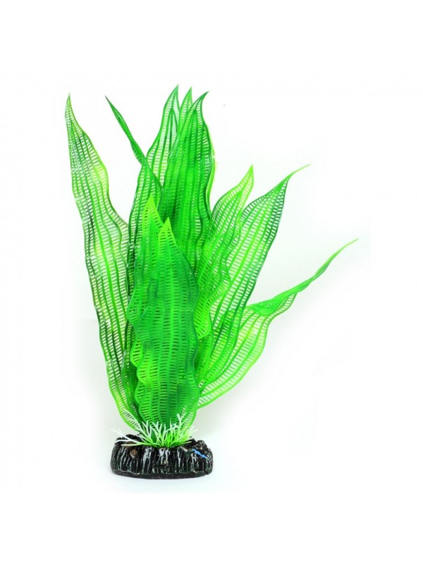 Искусственное растение Hobby Aponogeton 25см (51578)