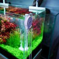 Антиводорослевый стерилизатор Chihiros Doctor Mate для аквариумов до 125 л с Bluetooth управлением