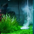 Антиводорослевый стерилизатор Chihiros Doctor Mate для аквариумов до 125 л с Bluetooth управлением