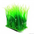 Штучна рослина Hobby Plant Pad 3 7x4,5x8см (51553)