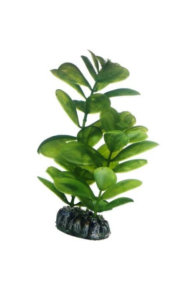Штучна рослина Hobby Saururus 16см (51563)