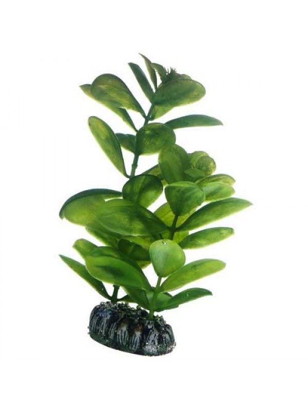 Искусственное растение Hobby Saururus 16см (51563)