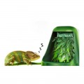 Фонтан для хамелеонов и гекконов Repti-Zoo Reptile Drinking (DF01)