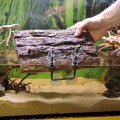Плавающий остров для черепах Hobby Turtle Island 2 25,5x16,5см (35026)