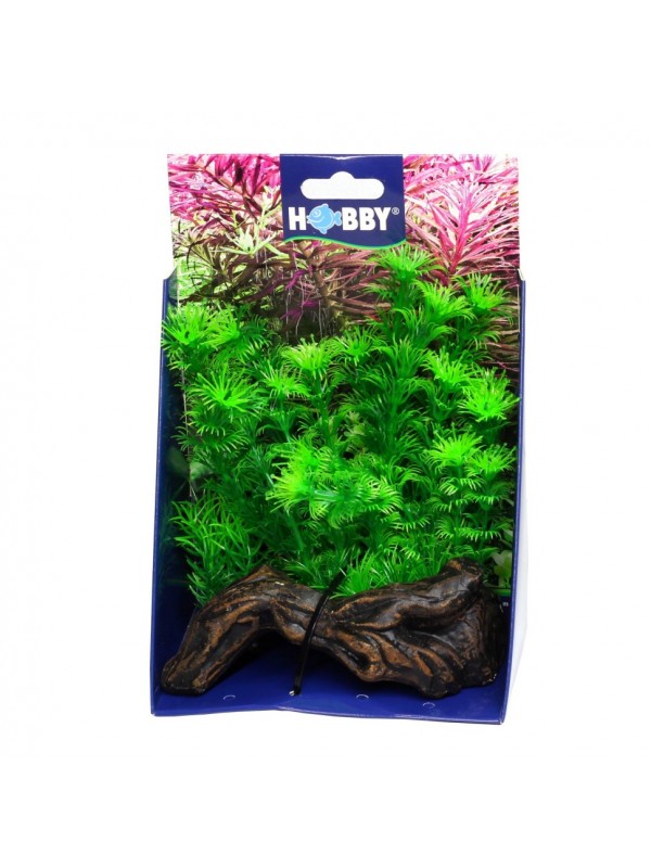 Штучна рослина Hobby Flora Root 3 S 17см (51597)
