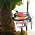 Двойная подвесная миска Terrario Gecko Bar Duo Jelly Black