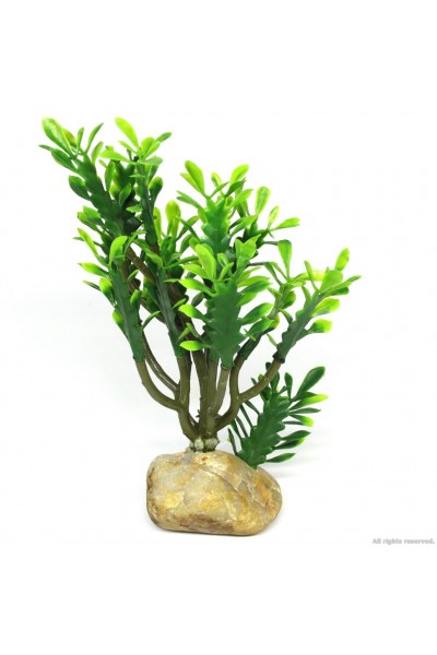 Штучна рослина кактус Hobby Euphorbia M 15x7x17см (36999)