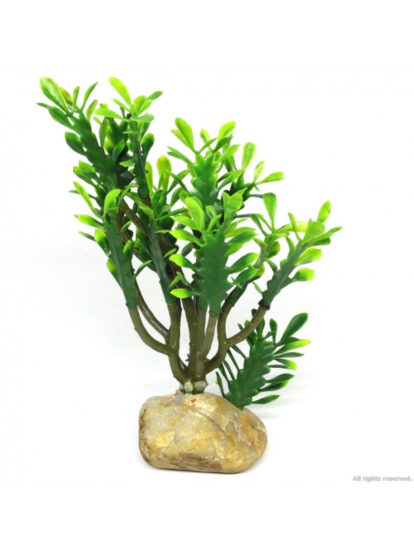 Штучна рослина кактус Hobby Euphorbia M 15x7x17см (36999)