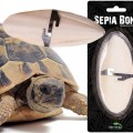 Сепия для черепах, природный известняк для рептилий Terrario Sepia Bone 10-15см