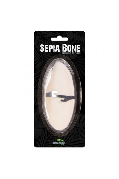 Сепія для черепах, природний вапняк для рептилій Terrario Sepia Bone 10-15см