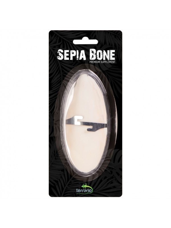 Сепія для черепах, природний вапняк для рептилій Terrario Sepia Bone 10-15см