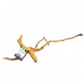 Коряга Hobby Fingerwood S 20-30см (40480)