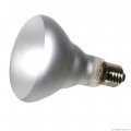 Лампа точечного нагрева Repti-Zoo Beam Spot 150W (BS95150)