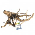 Коряга натуральная Hobby Fingerwood Shadow M 30-40см (40489)