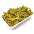 Сфагновый мох Repti-Zoo Sphagnum moss 100г. 4.5л. (SB031)