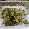 Сфагновый мох Repti-Zoo Sphagnum moss 100г. 4.5л. (SB031)