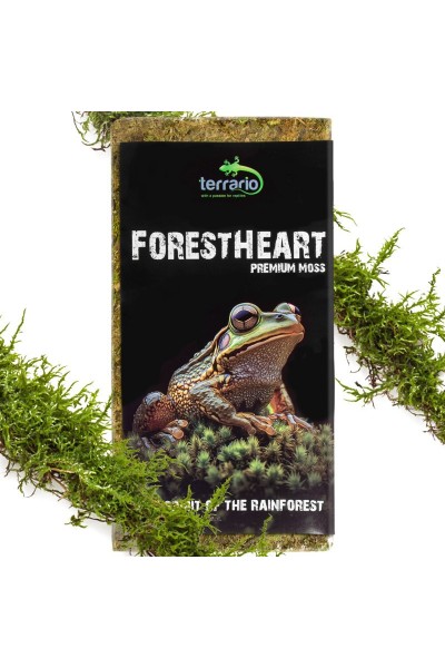 Натуральний мох торф’яний Terrario ForestHeart Sphagnum Moss 100г для тераріумів та орхідей