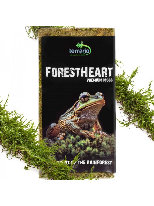 Натуральний мох торф’яний Terrario ForestHeart Sphagnum Moss 100г для тераріумів та орхідей