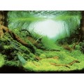 Акваріумний задній фон Aqua Nova Рослини/Океан 100x50см (PLANTS/OCEAN L)