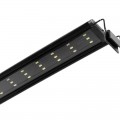 Світильник LED 40-50см для тераріумів з контролером часу Terrario ReptoRay 12W