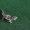 Килимок-субстрат Repti-Zoo Carpet Mat 60x45см (EC02)