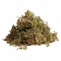 Живий мох Komodo Habitat Moss 1,5л (83003)