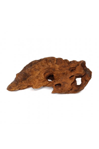 Коряга мангр Hobby Mangrove Wood S 15-25см (40641)