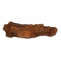 Коряга мангр Hobby Mangrove Wood S 15-25см (40641)