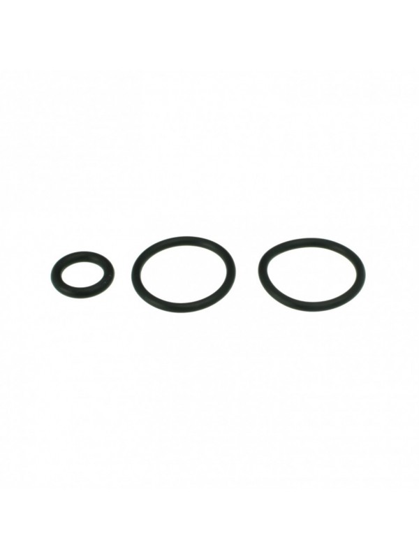 Прокладка кранов для Aqua Nova NCF 1000/1200/1500 (NS1-OR SET)