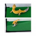 Килимок-субстрат Repti-Zoo Carpet Mat 30x30см (EC06)