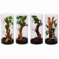Террариум для насекомых и пауков Hobby Terra Fix & Easy Insect Line 15×15×30 см акриловый 360° (36028)