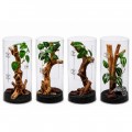 Террариум для насекомых и пауков Hobby Terra Fix & Easy Insect Line 15×15×30 см акриловый 360° (36028)