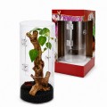 Террариум для насекомых и пауков Hobby Terra Fix & Easy Insect Line 15×15×30 см акриловый 360° (36028)