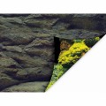 Аквариумный задний фон Aqua Nova Скалы/Растения 60x30см (ROCK/PLANTS S)