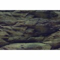 Аквариумный задний фон Aqua Nova Скалы/Растения 60x30см (ROCK/PLANTS S)