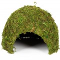 Укрытие из мха Repti-Zoo Natural Mossy Dome L 22x17 (ERS25L)
