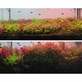 Грунт активний для акваріуму Neo Soil Plant No CO2 RICH 8л. - без потреби у CO₂