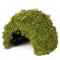 Схованка з моху Repti-Zoo Natural Mossy Dome M 14x10,5 (ERS25M)