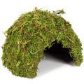 Схованка з моху Repti-Zoo Natural Mossy Dome M 14x10,5 (ERS25M)